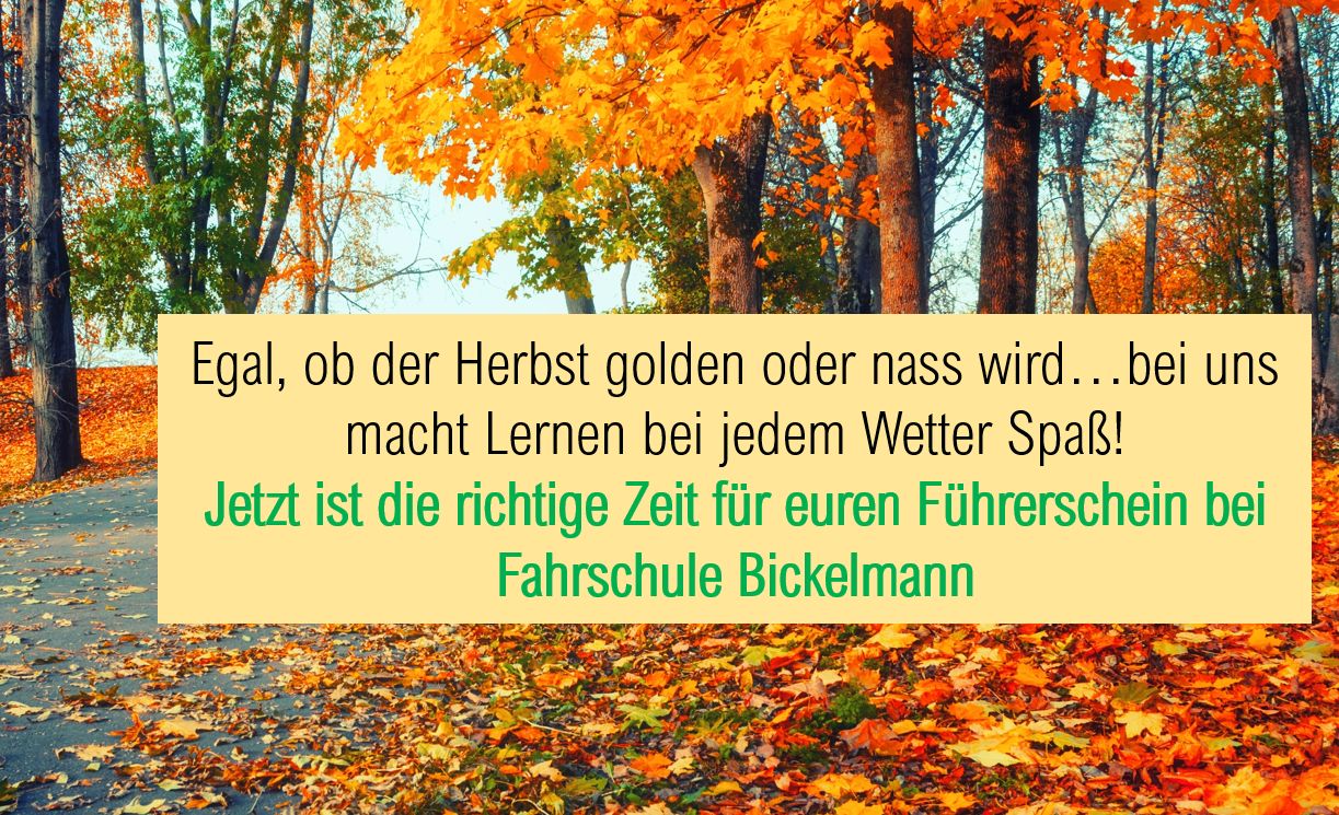 Fahrschule Saarbrücken Herbst Führerschein