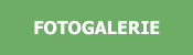 fotogalerie 175
